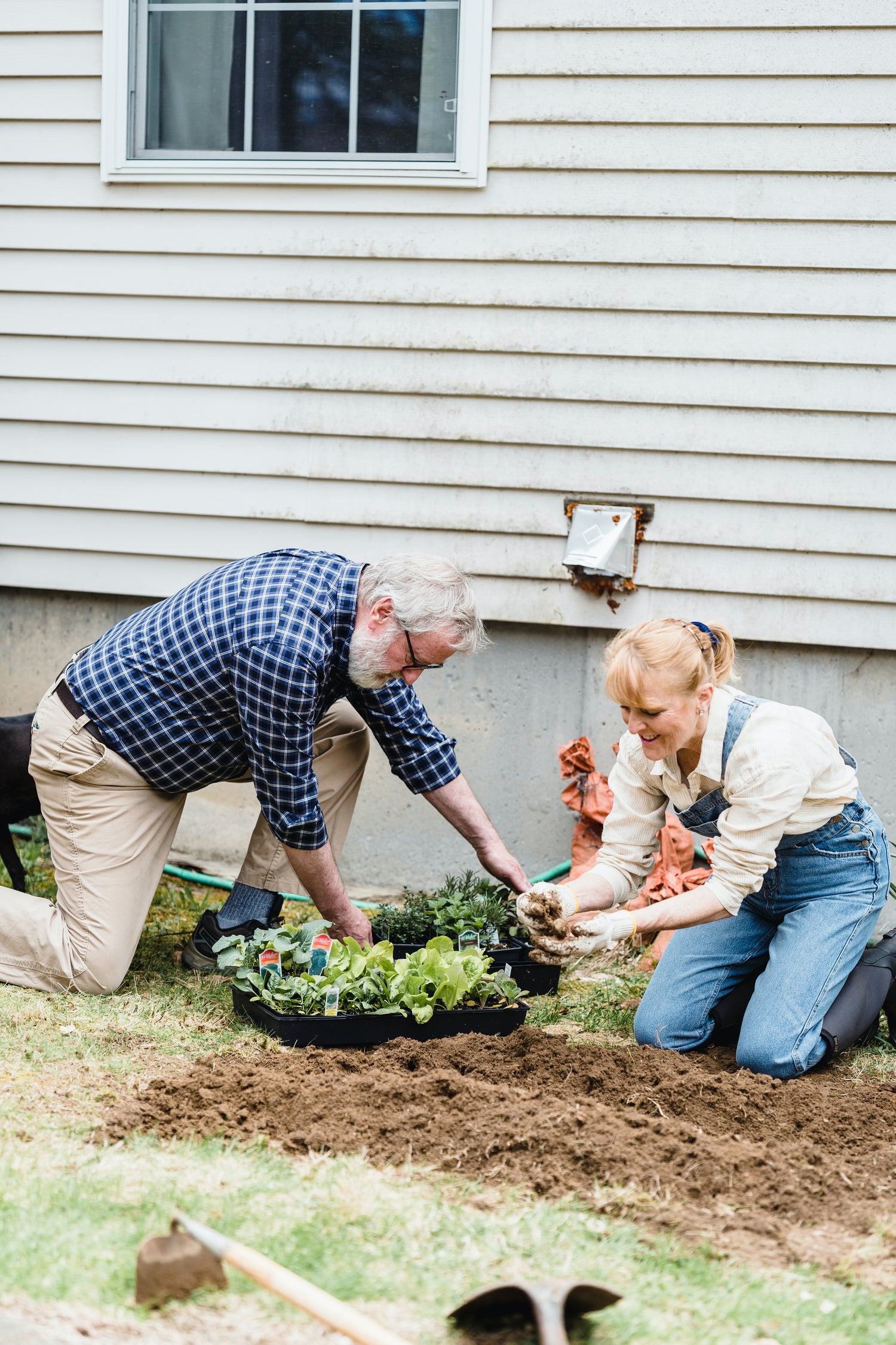 Lawn & Garden